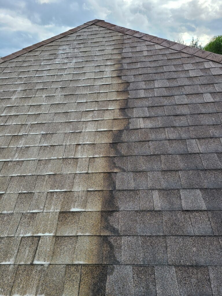 Roof Washing in Harrodsburg example 1
