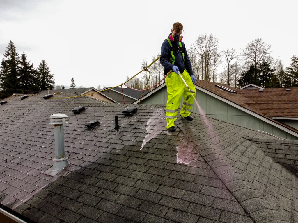 Roof Washing in Harrodsburg example 2